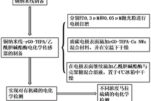 乙酰膽堿酯酶生物傳感器的制備以及對有機磷的檢測應(yīng)用