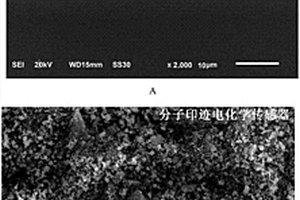 選擇性識(shí)別氯霉素的分子印跡電化學(xué)傳感器及其制備方法