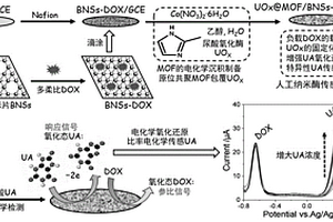 基于硼納米片負載藥物與MOF-納米酶雜化物的比率電化學(xué)傳感器的制備方法