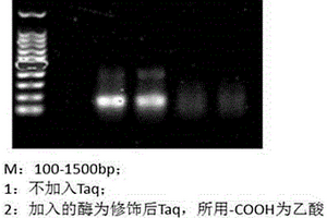 DNA聚合酶的化學(xué)修飾方法