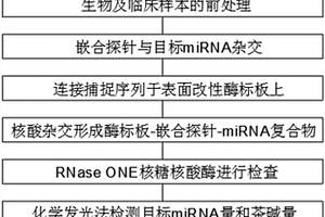 利用RNA核酸適配體及納米金檢測血清中的茶堿的方法