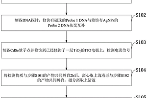 基于循環(huán)擴增和陽離子交換檢測核酸分子的方法