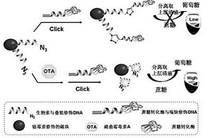 便攜快速檢測(cè)赭曲霉毒素A的方法