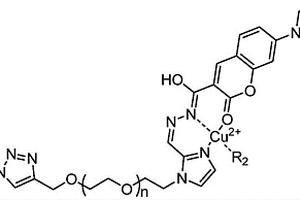 水溶性多功能糖基熒光探針及其應(yīng)用