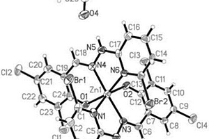 3,5?二氯水楊醛縮?2?溴?6?肼基吡啶席夫堿鋅配合物及合成方法