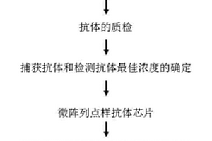 人細胞凋亡因子定量抗體芯片的制備及應(yīng)用