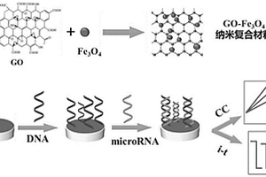 基于納米復(fù)合材料傳感器的制備方法及應(yīng)用