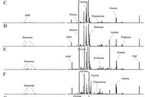 基于定量核磁共振代謝組學(xué)區(qū)分不同產(chǎn)地牡蠣的方法