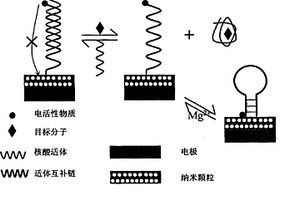 電流型核酸適體傳感器及制備方法