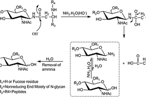通用的糖蛋白N?糖鏈釋放方法