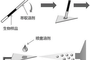 段塞流微萃取-紙基電噴霧質(zhì)譜聯(lián)用技術(shù)