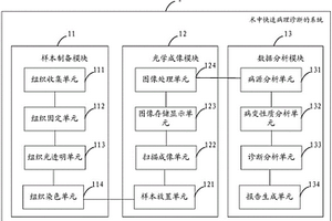 術(shù)中快速病理診斷的系統(tǒng)與方法