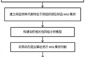 基于加權(quán)網(wǎng)絡(luò)的大規(guī)模代謝組數(shù)據(jù)庫(kù)構(gòu)建方法