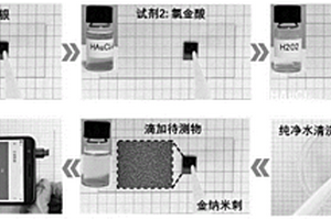 現(xiàn)場即做即用的拉曼增強(qiáng)芯片試劑盒及其制備方法