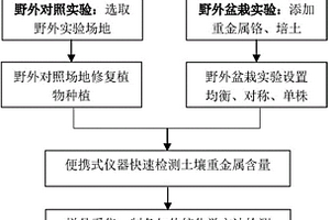 土壤重金屬鉻修復(fù)植物的篩選方法