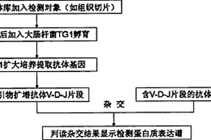 抗體基因芯片的研制和應(yīng)用