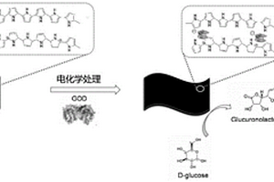 基于聚吡咯薄膜的自支撐葡萄糖傳感器及其構(gòu)建方法