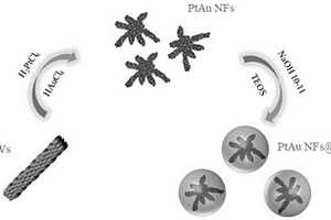 多孔硅基Pt(Au)納米酶的制備方法