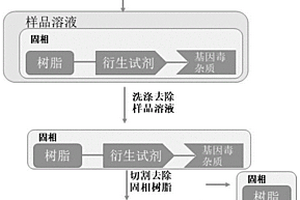 基因毒雜質(zhì)捕捉用固相探針及其使用方法與應(yīng)用