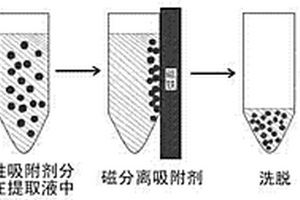 富集養(yǎng)殖家畜尿樣中克倫特羅、萊克多巴胺和沙丁胺醇的方法