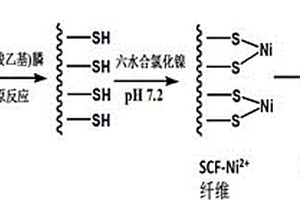 基于軟硬酸堿理論的巰基棉后修飾材料及其制備與應(yīng)用