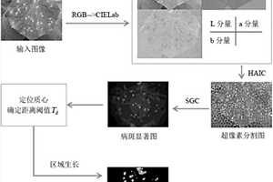 蔬菜葉部病害圖像分割方法、系統(tǒng)及計(jì)算機(jī)可讀存儲介質(zhì)