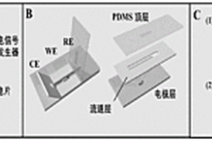 微流控芯片及其制備方法與應(yīng)用