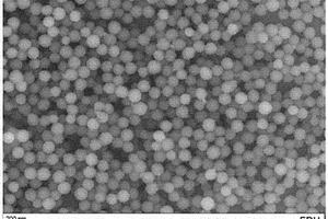 抗體標記的碳納米顆粒的制備方法及使用其制備的早孕試紙條