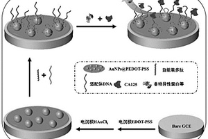 生物傳感器及其制備方法、應(yīng)用、應(yīng)用方法