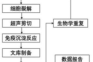 BPDE加合基因的鑒定方法