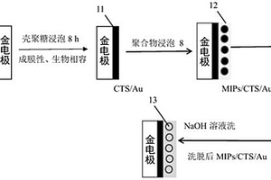 苯酚分子印跡傳感器的制備方法