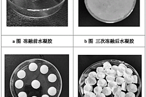 鑒定肉品新鮮度智能指示標簽的制備方法與應用