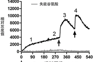 利用光合成反應(yīng)增加生物分子量子能量共性技術(shù)的應(yīng)用