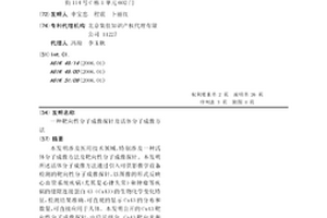 靶向性分子成像探針及活體分子成像方法