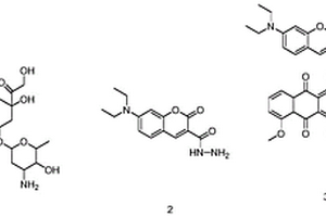 基于阿霉素藥物的診療一體化熒光藥物分子及其制備和應(yīng)用