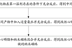 改性心磷脂包被的納米磁珠及其制備方法