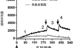 電刺激增加生物分子量子能量共性技術(shù)的應(yīng)用