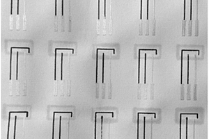 納米纖維素紙基生物傳感器的構(gòu)建方法