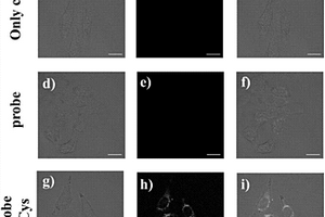 Cys雙光子熒光探針及其制備方法和應(yīng)用