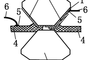 高壓原位阻抗譜測(cè)量的電極及其制備方法和應(yīng)用