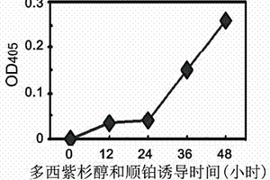 以DNA聚合酶δ為靶標篩選化療藥物及藥效的方法