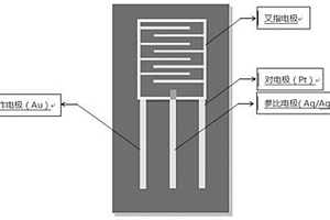 三電極共面集成的叉指電極的制備方法及應(yīng)用