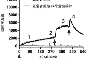 利用生物分子相互作用來降低生物分子量子能量共性技術(shù)的應(yīng)用