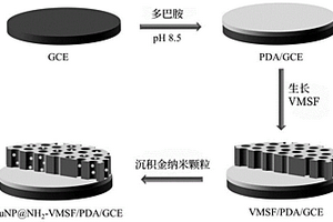 超親水抗蛋白污損材料的制備及應(yīng)用