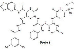 <sup>19</sup>F核磁共振探針及其制備方法和應(yīng)用