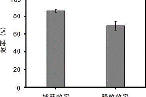 可逆組裝和分解的Strep-tag多肽標記的生物分子衍生化基質(zhì)及其應(yīng)用