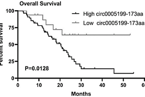 circ0005199-173aa蛋白及其在制備食管癌診斷產(chǎn)品中的應用