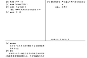 基于電子束等離子刻印制備自旋顯微微懸臂探測器方法