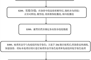 續(xù)歸膠囊治療骨折的實(shí)驗(yàn)方法