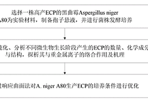 黑曲霉生產(chǎn)胞外多聚物的優(yōu)化培養(yǎng)基及培養(yǎng)方法